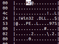 Screenshot of the identification of a Windows binary