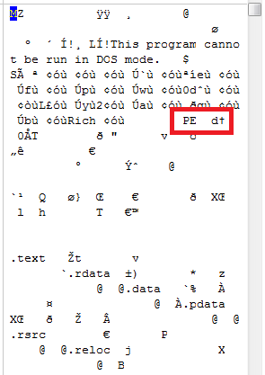 64 bit PE Header in a hex editor