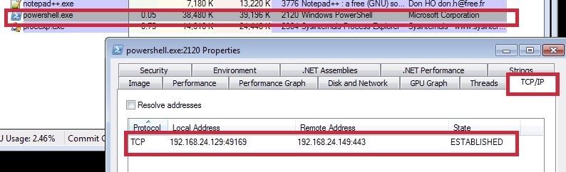 Figure 14: Established connection to dummy server